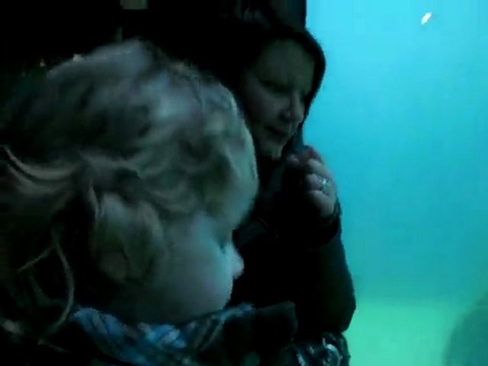 Aquarium Bremerhaven 03.02.A