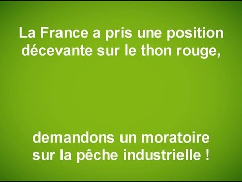 Pour un moratoire sur la pêche industrielle du thon rouge