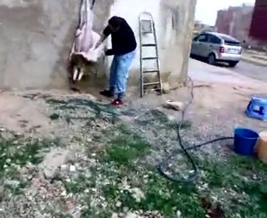 maman