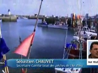 Thon rouge : La fin?