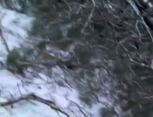 Les Ardennes sous la neige