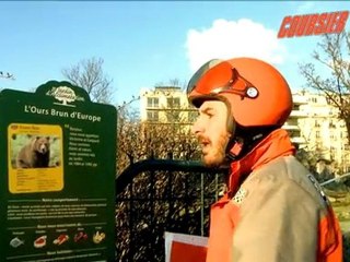 Coursier au zoo