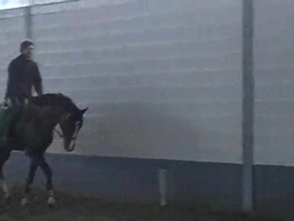 Caballo avec son nouveau cavalier