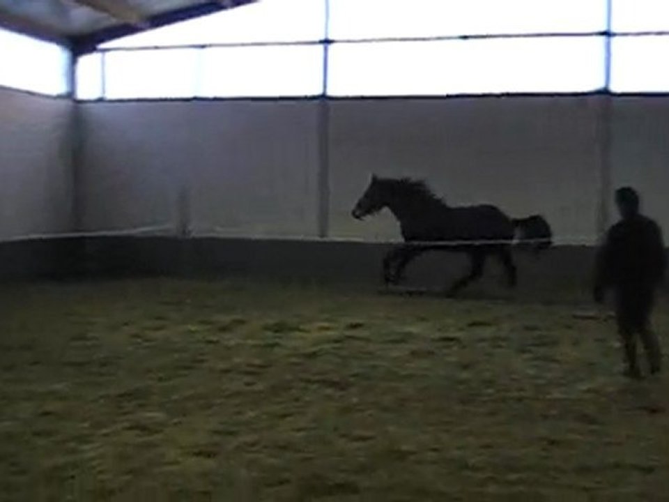 Issini (Cassini II) Bel oxer