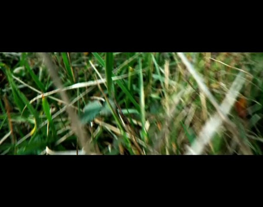 Pipedreams - Lost in memory