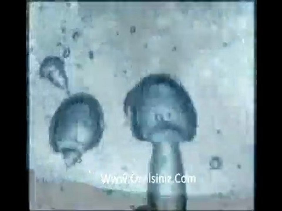 Arnica Hyda su filitreli elektrikli süpürge