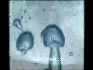 Arnica Hyda su filitreli elektrikli süpürge