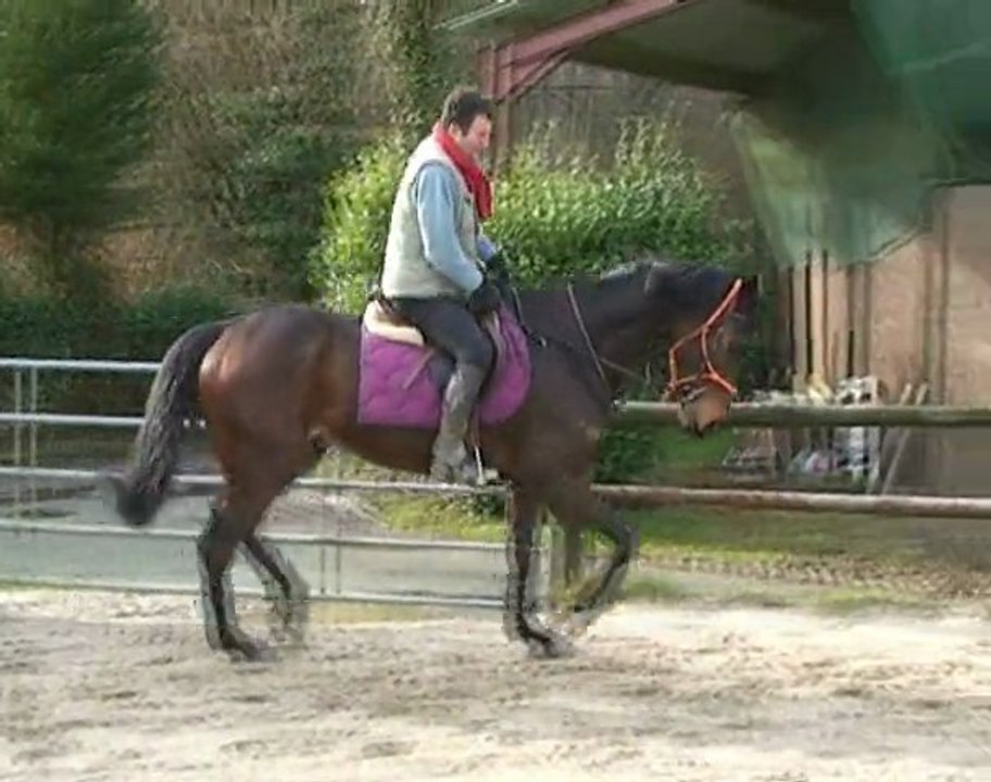 QUESACO_COLLONGES