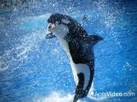 Stonewood Gardens Apartments in San Diego, CA - ForRent.com