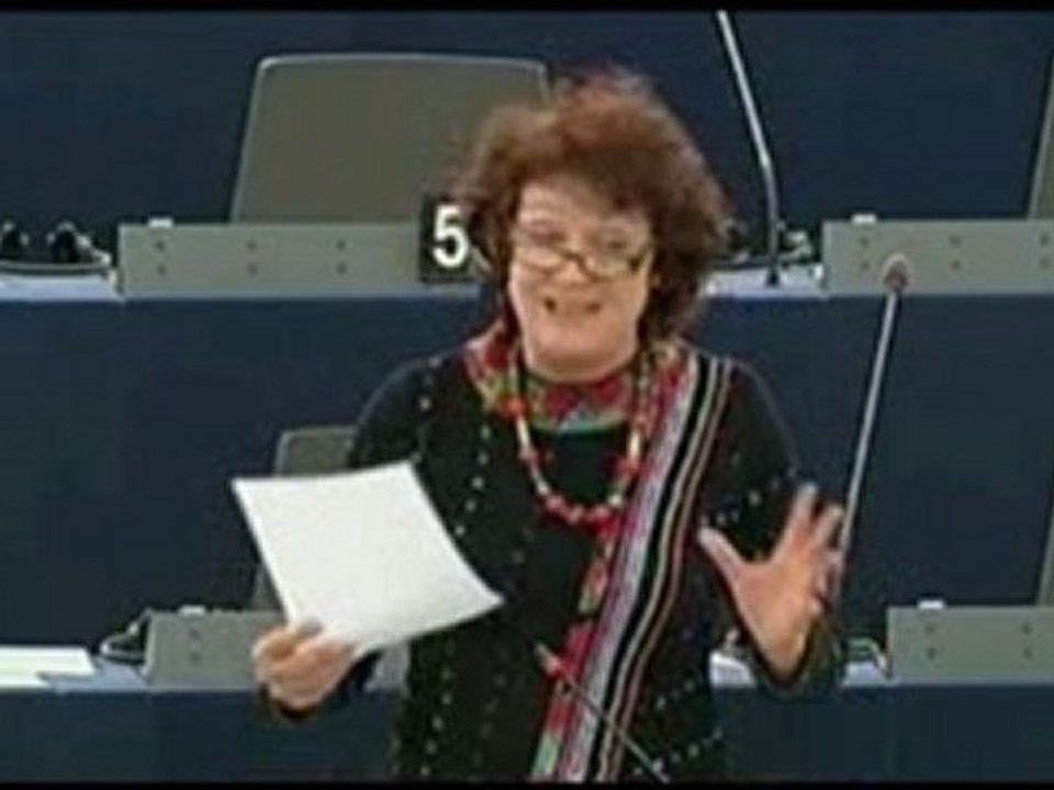 Hélène Flautre : Démocratisation en Turquie