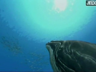 Test vidéo Endless Ocean 2