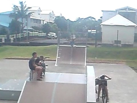 Fakie Frontflip en gamelle xD