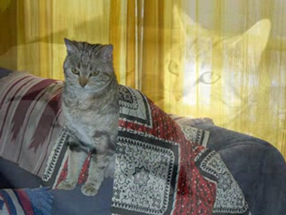 Ma petite Nana tu nous manques énormément