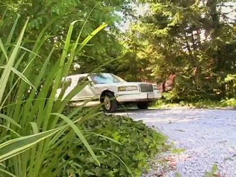 Orlando Limo Service from MCO to Disney - Orlando 1 Limo