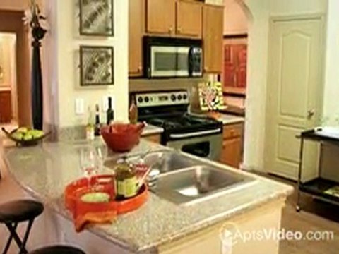 Talon Hill Apartments in Colorado Springs, CO - ForRent.com