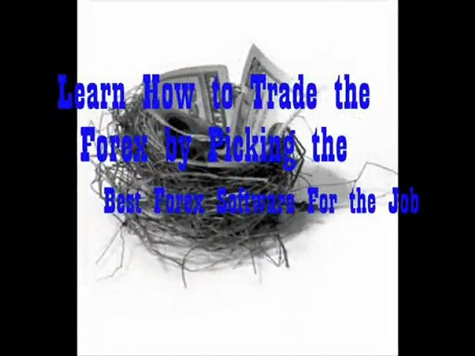 best forex system trading 10