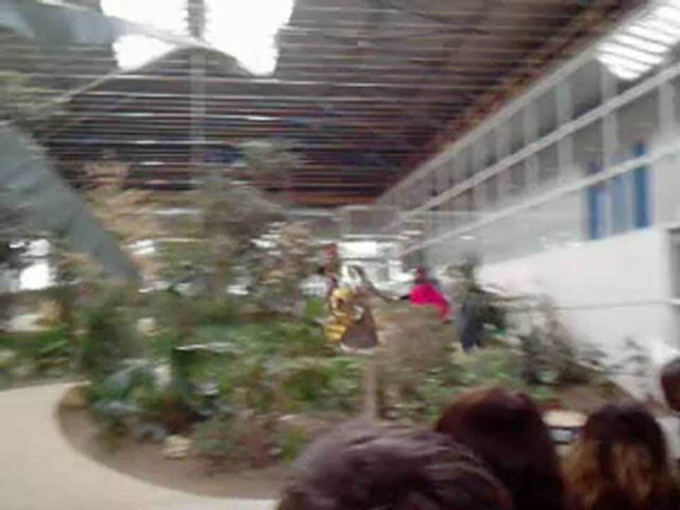 carnaval ^^