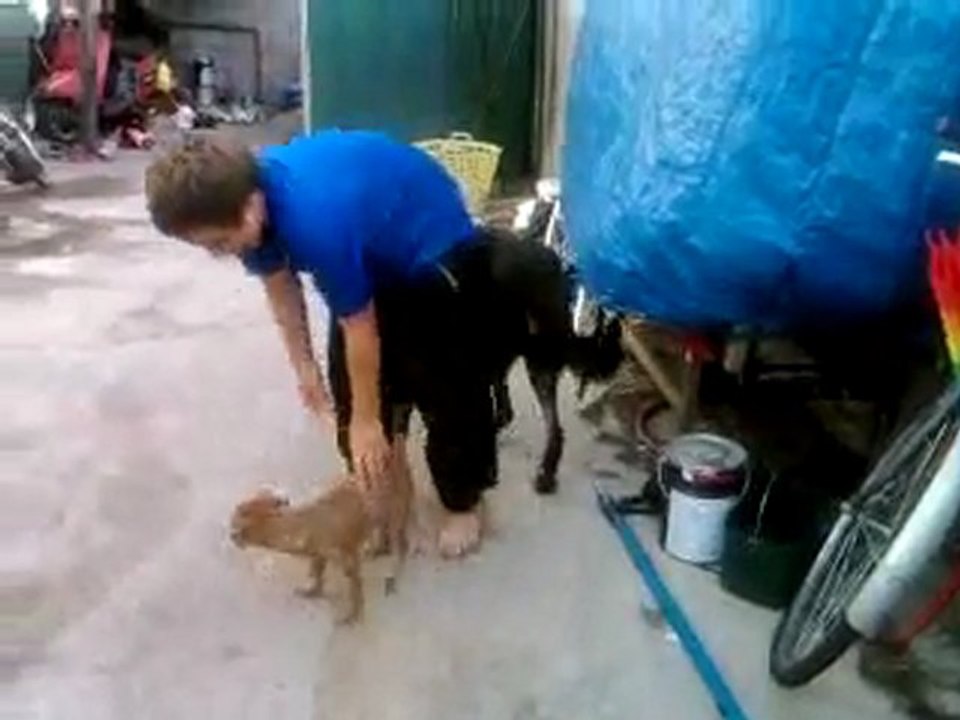 Vidéo0079