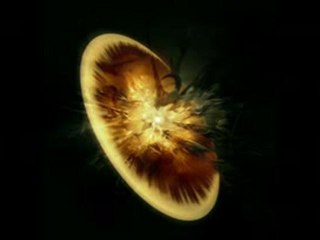 Vendetta - GRV Music