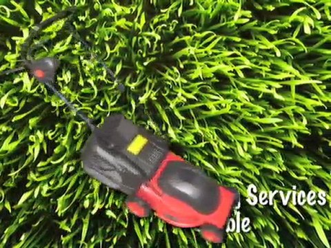 Los Angeles Landscaping Services | Tree Trimming