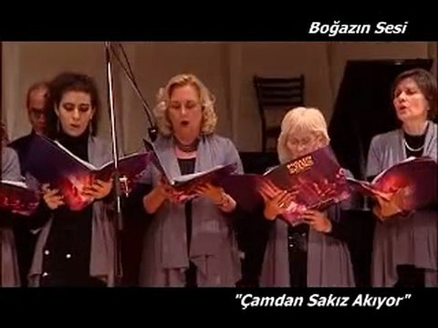 Çamdan Sakız Akıyor