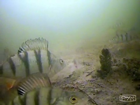 Зимняя рыбалка