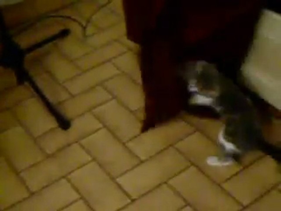 n'importe n'invoique!