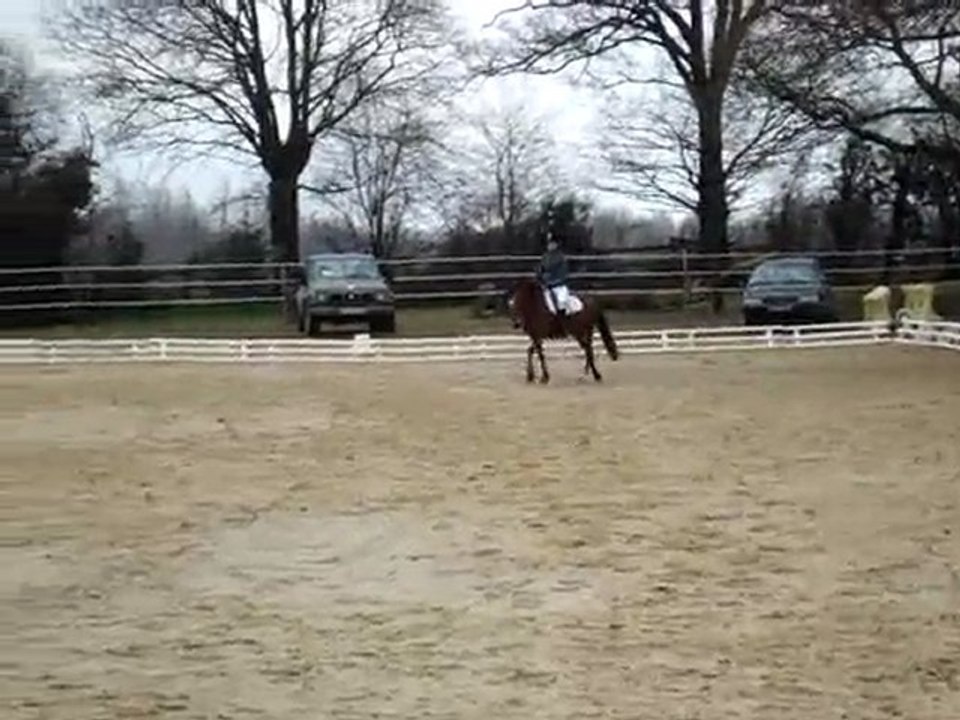 dressage martigné 24/01/10 hélène + kiwen Club 3 GP