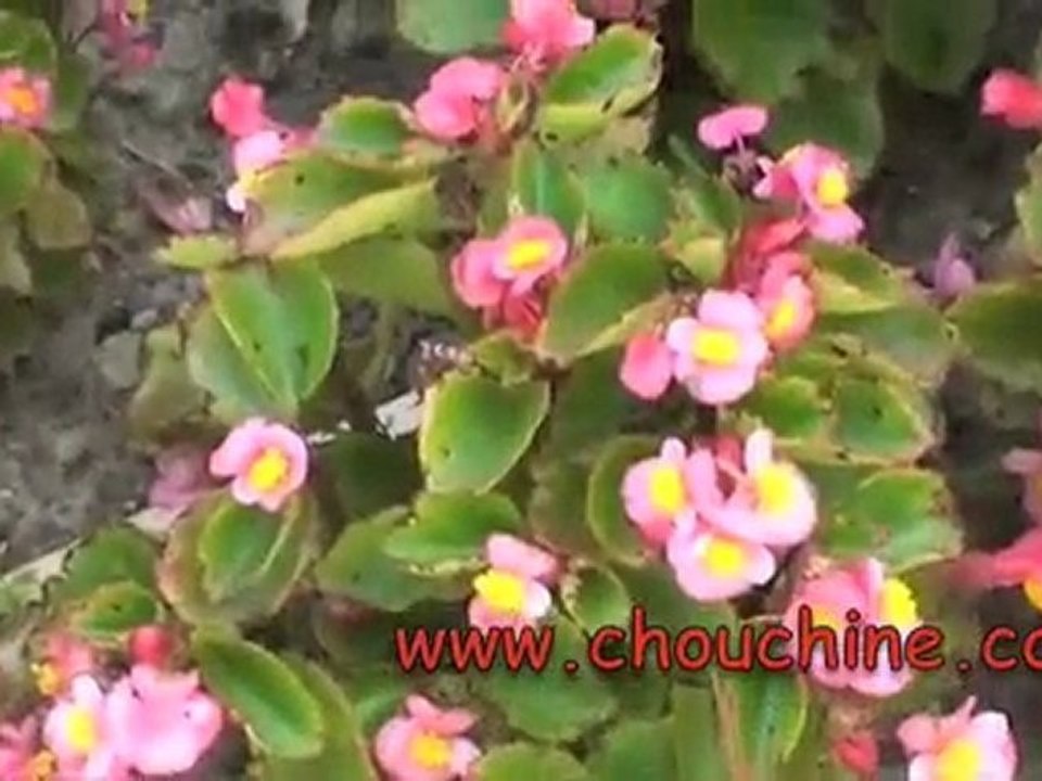 J+104 A 5 jour des jeux olympique de Beijing