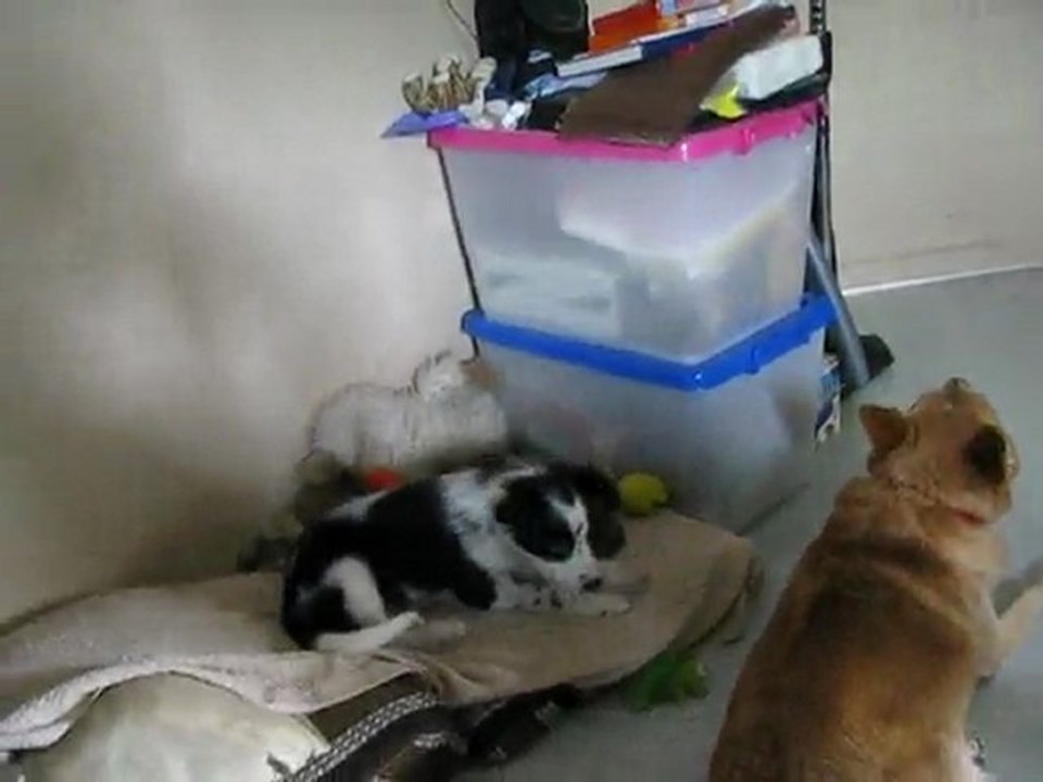 Summa playing-6th Feb-2010