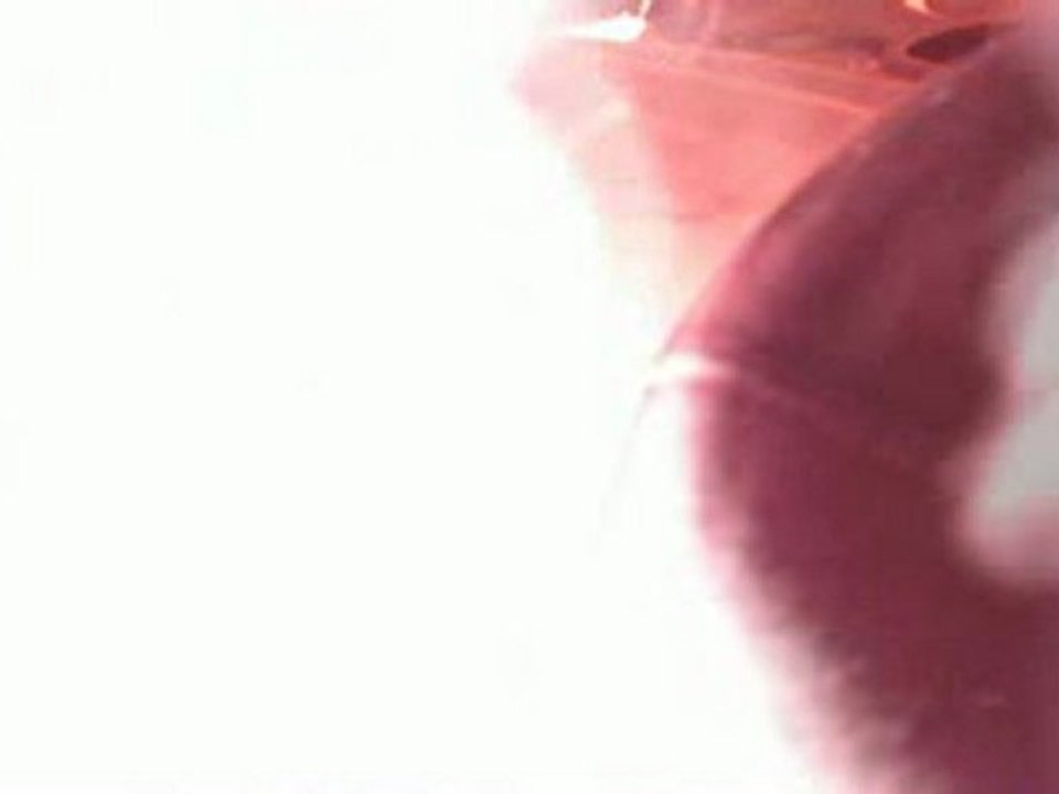 Firework Stunt