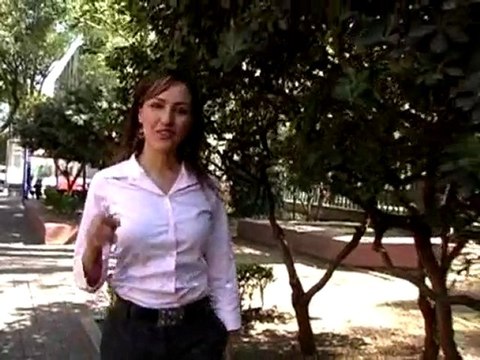 INTERCONTINENTAL MEXICO CITY Around the Hotel