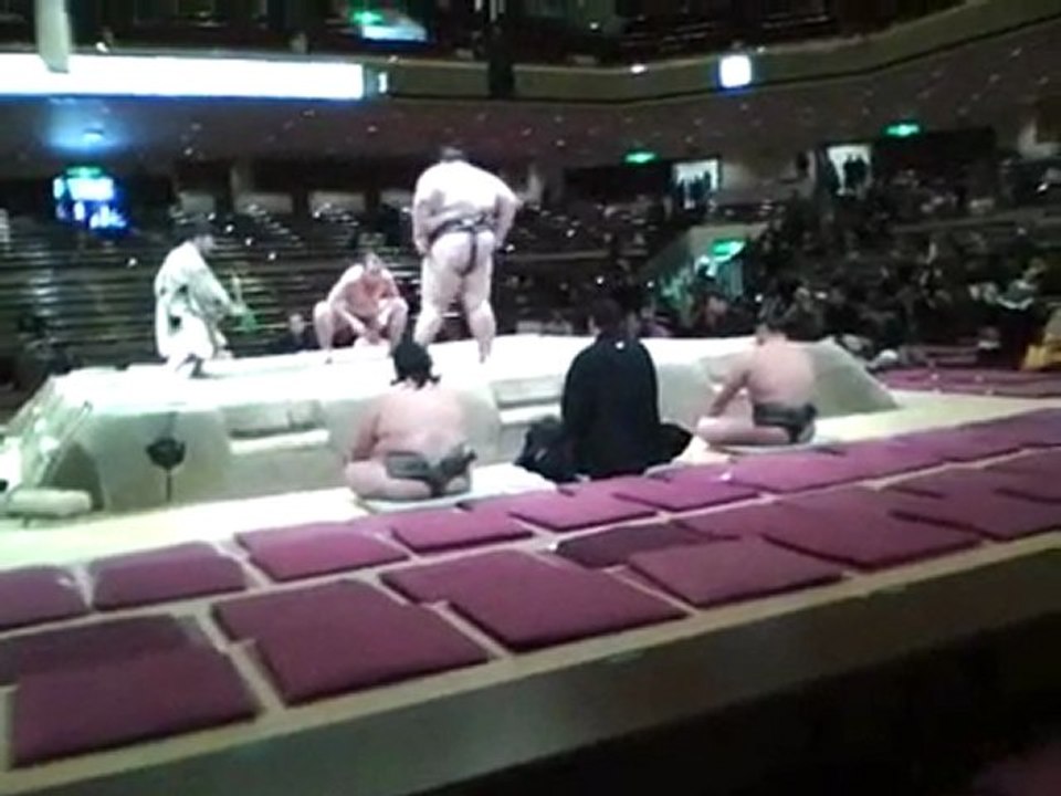 Sumo violent