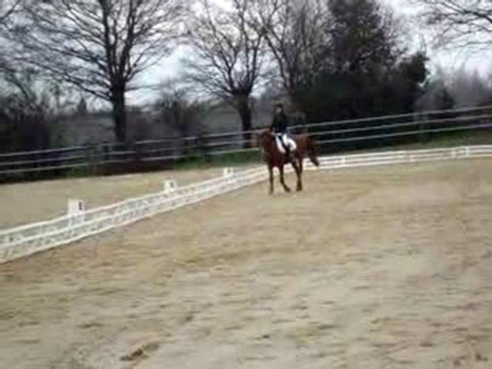 dressage martigné 24/01/10 léa + gold Club 3 GP