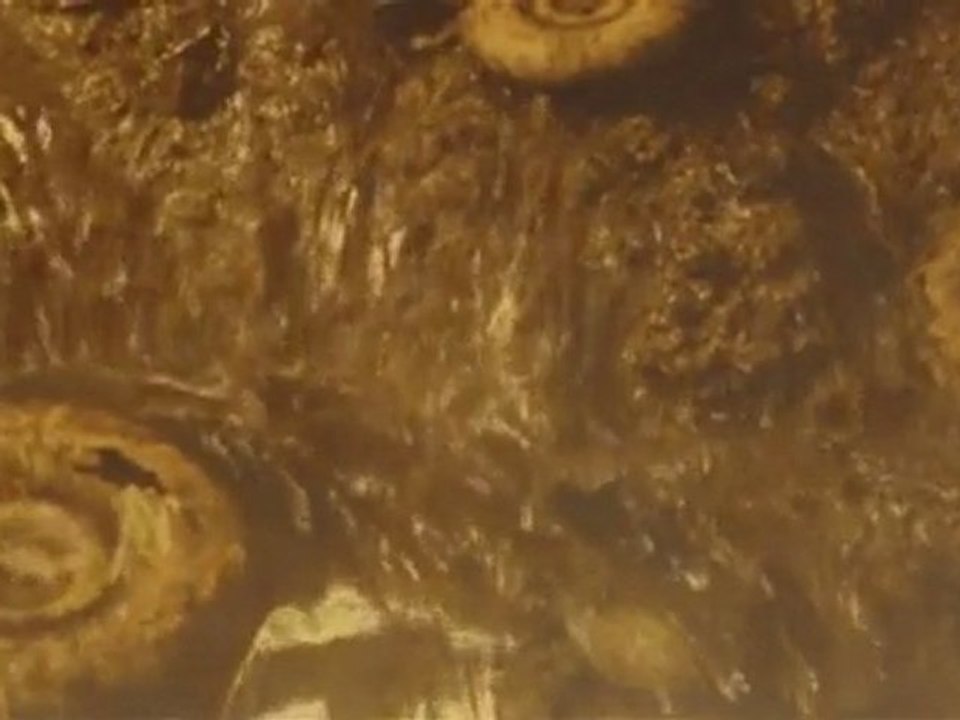 Planete Terre A l'assaut Des Terres 1