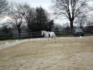 dressage martigné 24/01/10 mélanie + jaryv Club 3 GP
