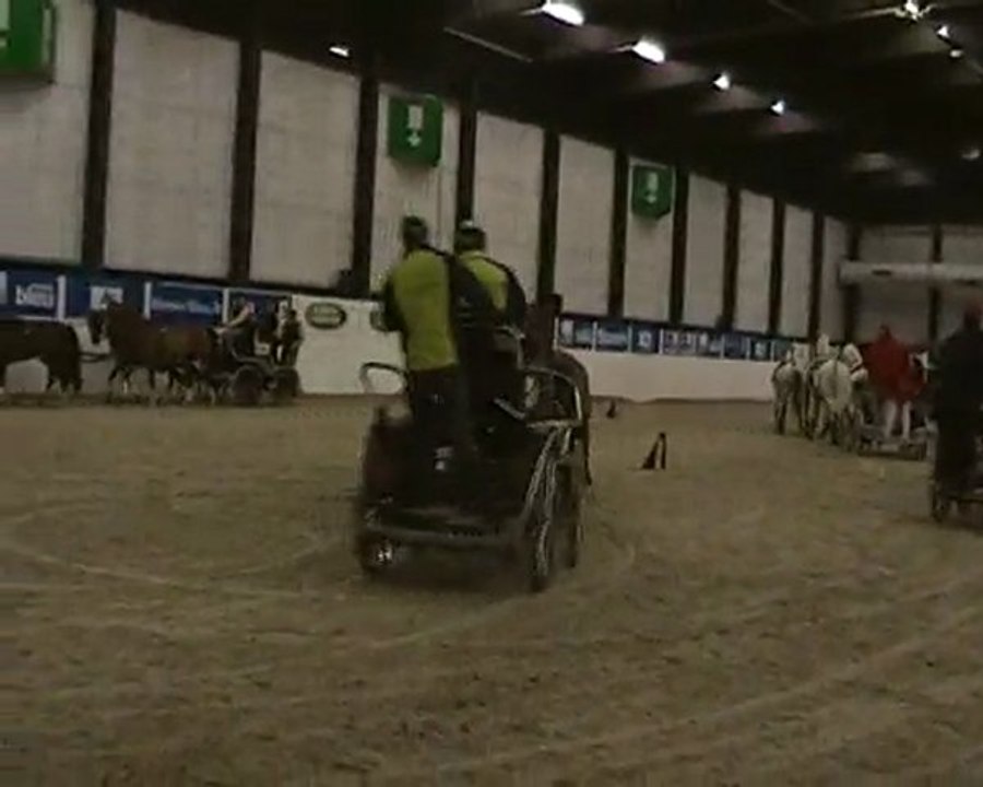Attelage - le paddock de la 1ère manche