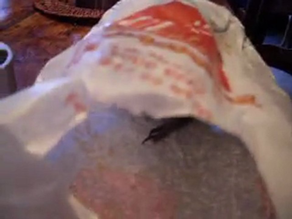 re sac a pain