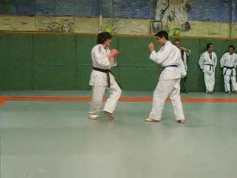 RANDORI ADOS VENDREDI 5 Février 2010 (suite 1)