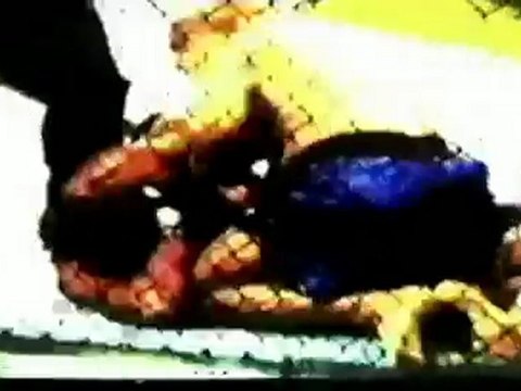 UFC 109 Live Stream Couture Vs Coleman