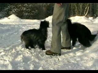 winter trick party in the snow =)