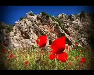 ruşen yılmaz 2 şarkısı birden dert şarabı - bu akşam içeceği