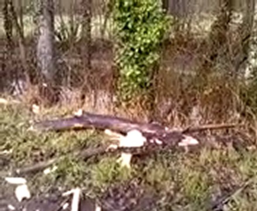 la deuche à cheucheu