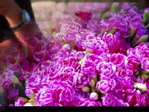 GAYDA ISTANBUL - çiçekçi