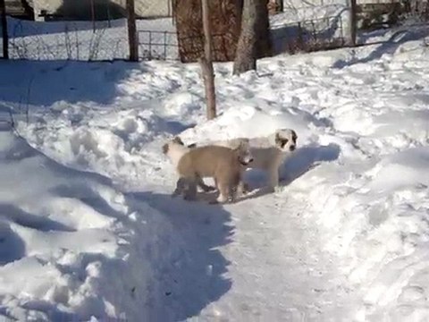 Изображение 290