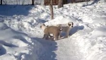 Изображение 290
