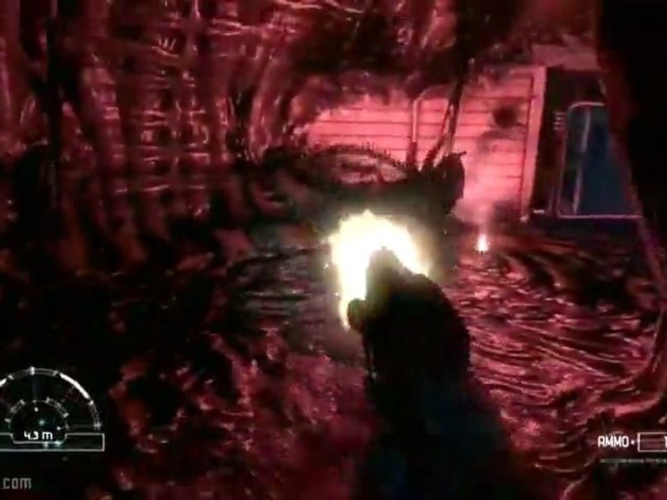 Aliens vs Predator :  Marines Trailer