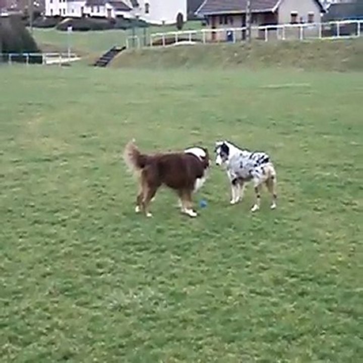 Bougnat et Estive jouent à la balle