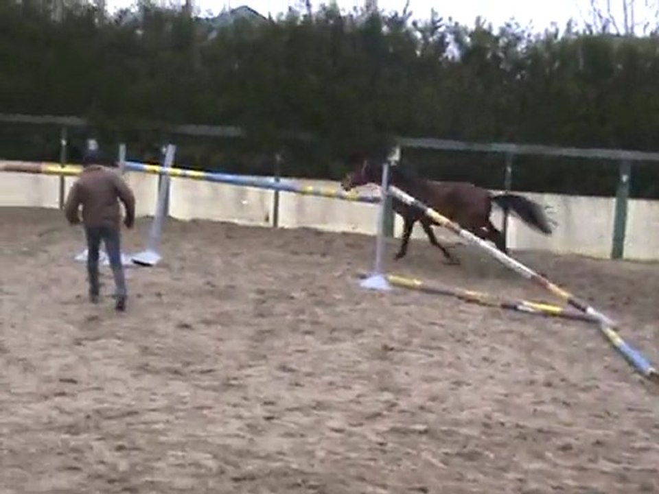 Etalon de 3 ans Contact par Darco