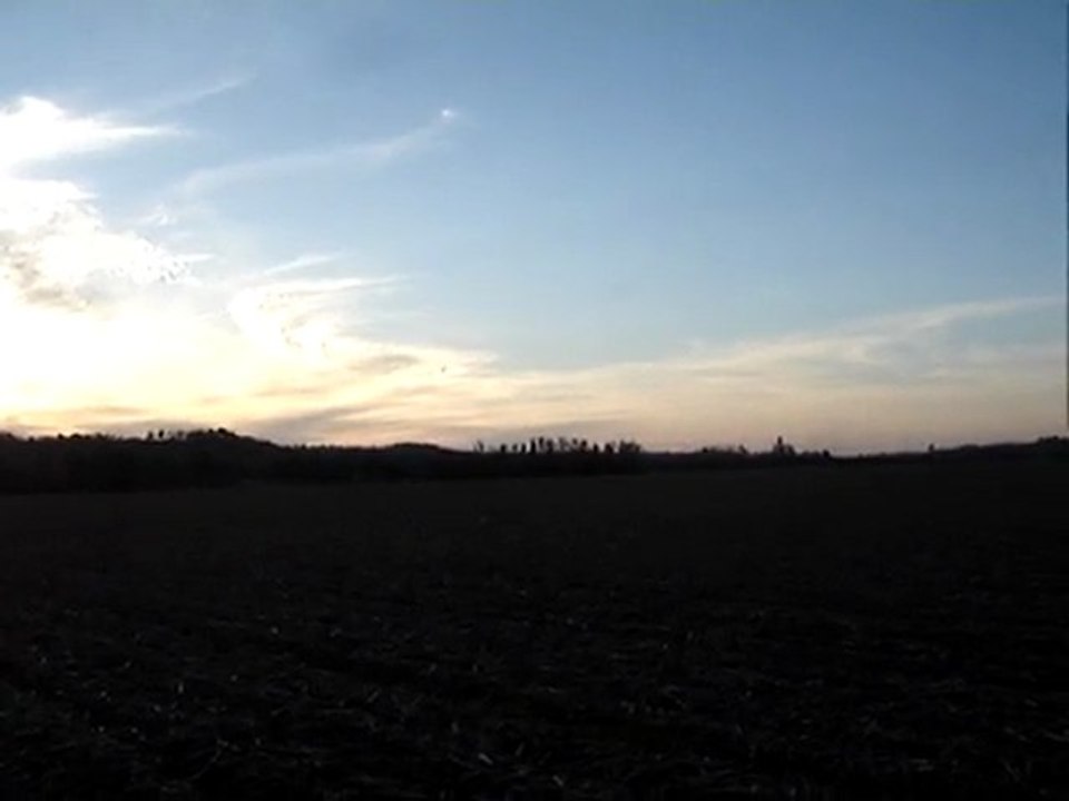 espelette 5 mois 004